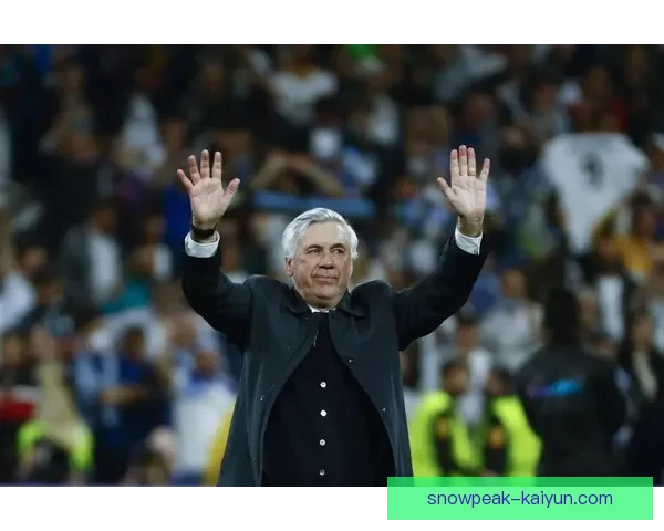 安切洛蒂战术适配性提升，球队表现稳健备受关注