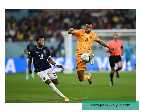 范戴克荷兰国家队队长状态回暖，有望在世界杯预选赛中发挥重要作用