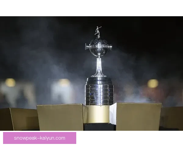 解放者杯博卡青年近期表现稳健，备受期待的争冠球队动态分析