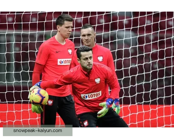 女足欧洲杯黑马表现稳健，状态回暖备受关注